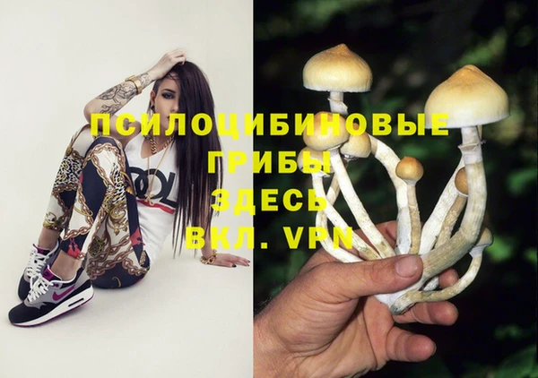 молекула духа Балабаново