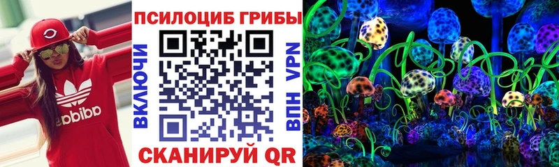 darknet состав  Куса  Галлюциногенные грибы Psilocybine cubensis  купить закладку  ссылка на мегу  